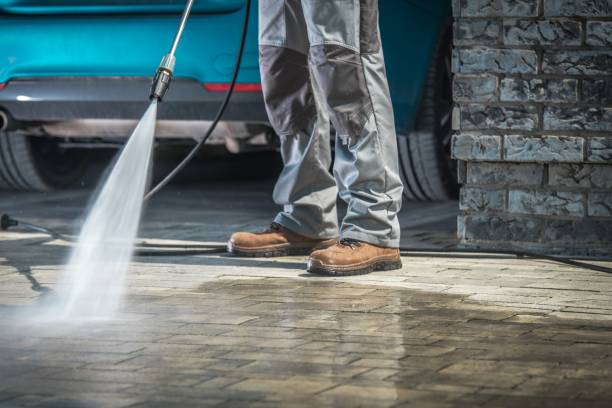Best Commercial Pressure Washing in Shepherd, TX