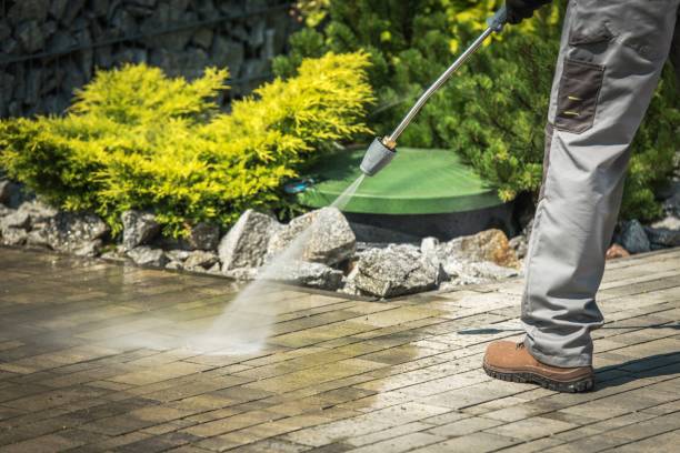 Best Sidewalk and Walkway Pressure Cleaning in Shepherd, TX
