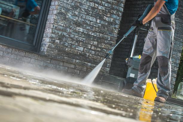 Best Window and Screen Pressure Cleaning in Shepherd, TX