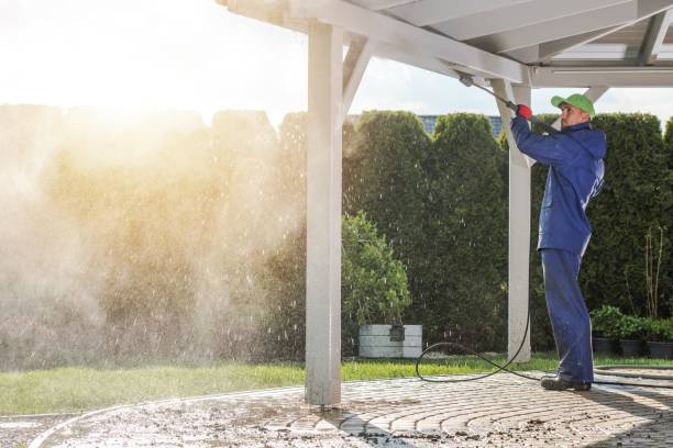 Best Building Exterior Pressure Washing in Shepherd, TX