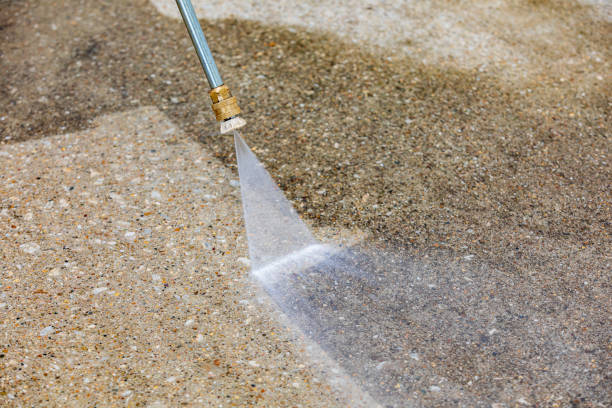 Best Parking Lot Cleaning in Shepherd, TX