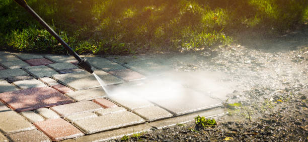Best Pool Deck Cleaning in Shepherd, TX