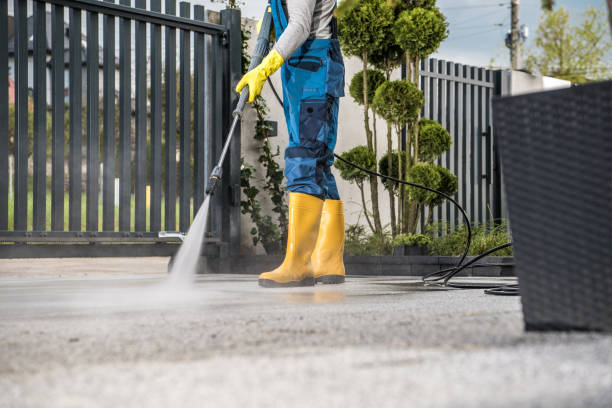 Best Fence Cleaning and Maintenance in Shepherd, TX